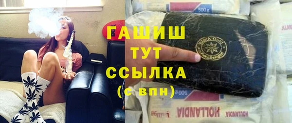 хмурый Алзамай