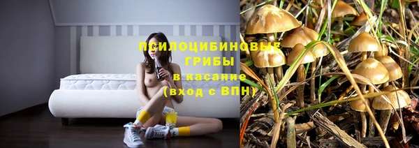 сатива Россошь