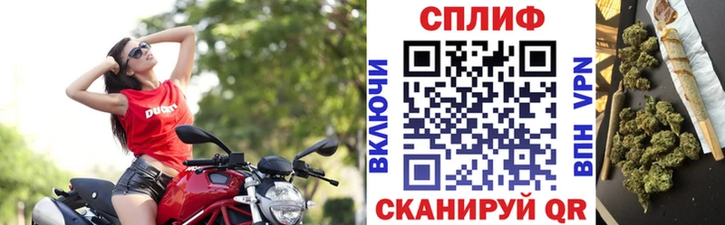 Бошки марихуана VHQ  продажа наркотиков  Сокол 